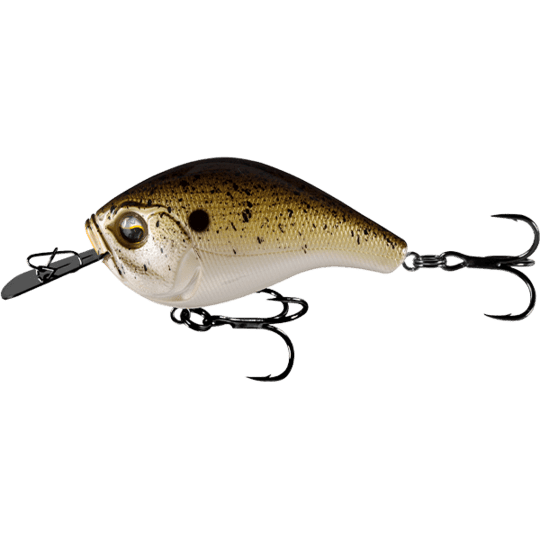 Crank Baits –