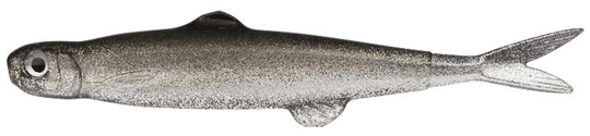 Evergreen Last Ace Finesse Soft bait