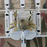 Crab Storage Insert for tackle tray