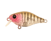 Berkley Pro-Tech Brimz Shallow 38 Crank Bait - tackleaddiction.com.au