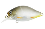 ISSEI GC Shallow Crank 40SR Chira Crank Bait
