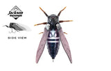 Jackson Namazemi Cicada 40mm Surface Lure