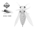 Jackson Namazemi Cicada 40mm Surface Lure