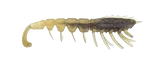 Rapala Crushcity The Imposter 2.5" Soft Bait