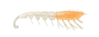 Rapala Crushcity The Imposter 2.5" Soft Bait
