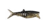 Rapala Crushcity 3" Infiltrator Soft Bait