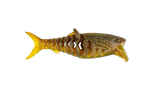 Rapala Crushcity 3" Infiltrator Soft Bait
