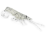 Chasebaits Curly Prawn 60mm Soft Bait - tackleaddiction.com.au