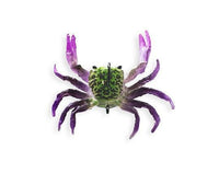Chasebaits Crusty Crab 50mm 2 Pack - tackleaddiction.com.au