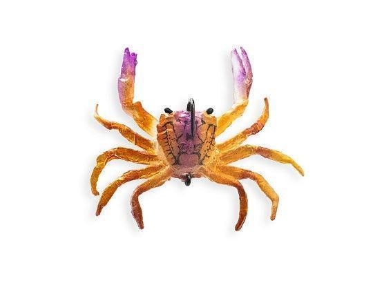 crusty crab fishing lure Chasebaits Crusty Crab 50mm 2 Pack