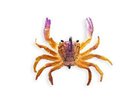 Chasebaits Crusty Crab 50mm 2 Pack - tackleaddiction.com.au
