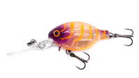 Barambah Lures Deton8tor 38 Deep Fatty Crank Bait