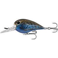 13 Fishing Gordito 50mm Crank Bait - tackleaddiction.com.au