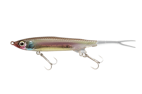 Jackall Nagisa 65SP Minnow - tackleaddiction.com.au