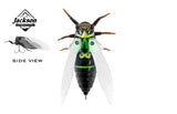 Jackson Namazemi Cicada 40mm Surface Lure