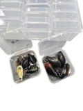 MUSS BOX - Mussel lure tackle box storage