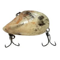Outback Breamer Baits Mussel Vibe " The Muss " Hard Body