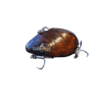 Outback Breamer Baits Lil Mussel Slow Sink 2.0 Vibe