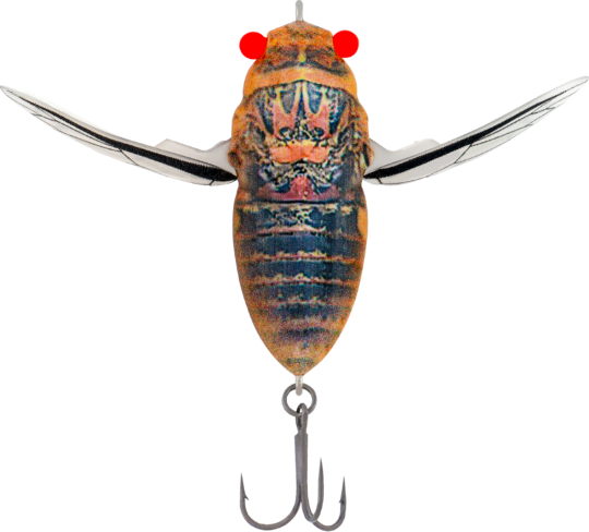 Samaki Redic Cicada 50 surface lure