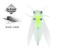 Jackson Namazemi Cicada 40mm Surface Lure