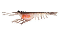 Nomad Live OPS Switcher Shrimp 2.3" & 3.5" Soft Bait