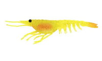 Nomad Live OPS Switcher Shrimp 2.3" & 3.5" Soft Bait