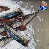 UFISH Brined Baits