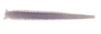 Berkley Gulp 4" Fat Hollow sand worm Soft Bait - tackleaddiction.com.au