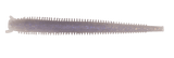 Berkley Gulp 4" Fat Hollow sand worm Soft Bait - tackleaddiction.com.au