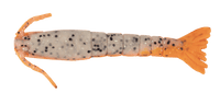 Berkley Gulp Shrimp 3" Soft Bait - tackleaddiction.com.au