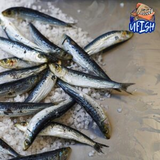 UFISH Brined Baits