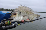 TT Rods 25 Black Mamba Spin Rod