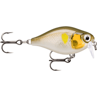 Rapala X-Light 35mm Shallow Crank Bait - tackleaddiction.com.au