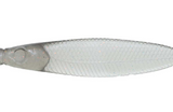 ISSEI LIAR Minnow Flat Sakana 3.8" Soft Bait