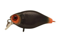 Jackall Chubby 38F Shallow Rattle Crank Bait - tackleaddiction.com.au