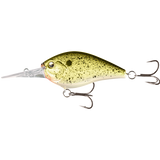 13 Fishing Cliff Banger 12FT Crank bait