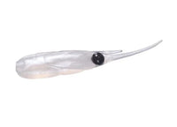 Daiwa Chibi Dart 1.5" Ajing soft plastic