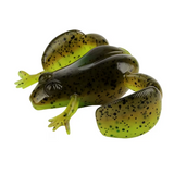 Bigfeet 43mm Surface Frog soft bait