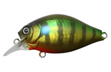 ISSEI GC Shallow Crank 40SR Chira Crank Bait