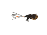 Hurricane Lures Sting 37 Blade / Vibe