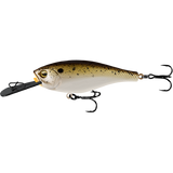 13 Fishing Jabber Shad Deep Crank Bait