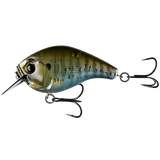 13 Fishing SCAMP Squarebill Crank Bait