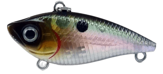 Gladiator Shiver Vibe 40mm Lipless Vibration - tackleaddiction.com.au