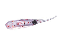 Daiwa Chibi Dart 1.5" Ajing soft plastic