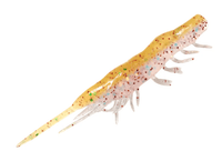 MAGBITE Snatch Bite Shrimp 2.5" Soft Bait - tackleaddiction.com.au