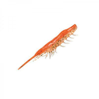 MAGBITE Snatch Bite Shrimp 2.5" Soft Bait - tackleaddiction.com.au