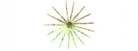 Keitech Little Spider 3" Soft Bait - tackleaddiction.com.au