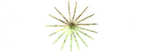 Keitech Little Spider 3" Soft Bait - tackleaddiction.com.au