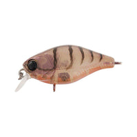 Jackall Chubby 38F Shallow Rattle Crank Bait - tackleaddiction.com.au