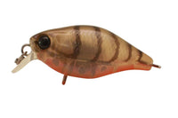 Jackall Chubby 38F Shallow Rattle Crank Bait - tackleaddiction.com.au